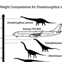 專家計算此恐龍重約六十噸，比一架波音737客機更重。（互聯網圖片）