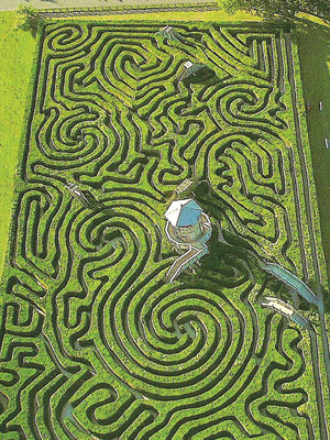 朗利特莊園的全球最長迷宮，由逾萬株高七呎的樹組成。（互聯網圖片）