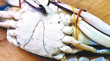 商販把死蟹腳綁在活蟹身上增加重量出售圖利。（互聯網圖片）