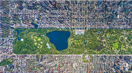 紐約中央公園竟是全球其中一個生態藏寶庫。（互聯網圖片）