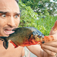 科爾在亞馬遜一嘗被食人魚咬的滋味。（互聯網圖片）