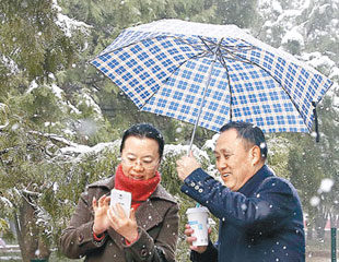 京城瑞雪 吉兆豐年？