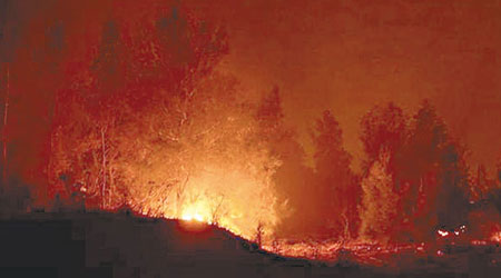 小金門上林海岸至龜山一帶起火。（互聯網圖片）