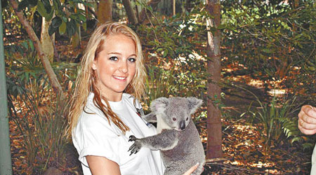 樹熊為澳洲國寶，深受遊客喜愛。（互聯網圖片）