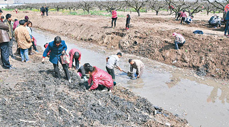 大批村民在河道邊發掘古錢。（互聯網圖片）