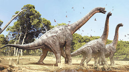 專家起初以為化石屬泰坦巨龍。（互聯網圖片）