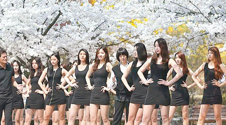南韓一眾模特女學生在櫻花樹下上課。（互聯網圖片）