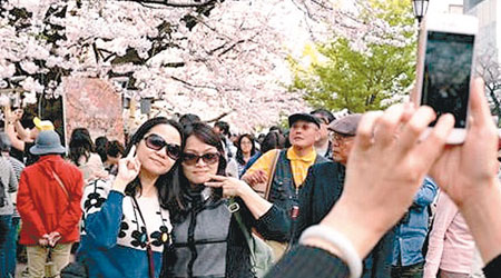 中國遊客湧日賞櫻，導致日本酒店房價急升。（互聯網圖片）