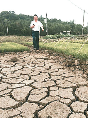 國家氣候中心專家赴廣西調查乾旱現象。（互聯網圖片）