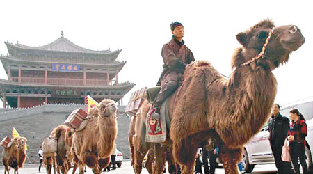 駱駝隊浩浩蕩蕩地在張掖市大街前進。（互聯網圖片）