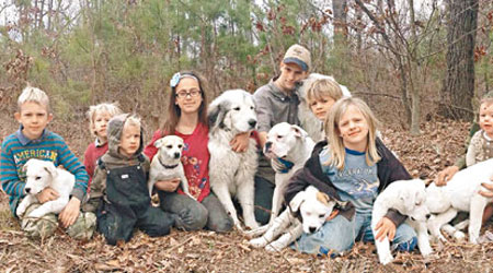十名孩子與多隻狗狗一起生活。（互聯網圖片）