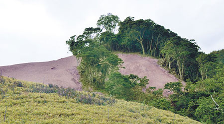 台東的翠綠山頭變成了「瘌痢頭」。（中央社圖片）