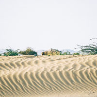 薩赫勒地區乾旱，難以種植農作物。（互聯網圖片）