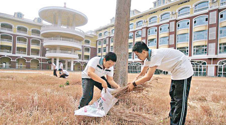 學生一同體會收割的辛勞。（互聯網圖片）