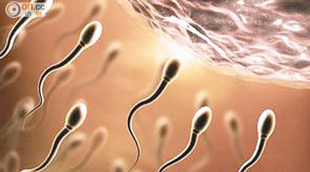 研究發現，人類精子在夏天時最活躍。（資料圖片）