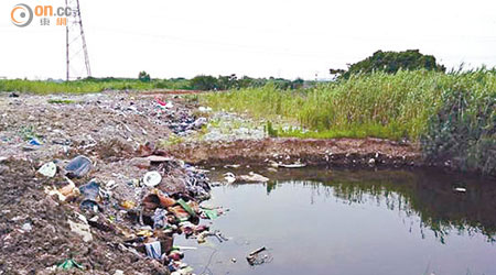 大量垃圾被人非法傾倒在沿河濕地。