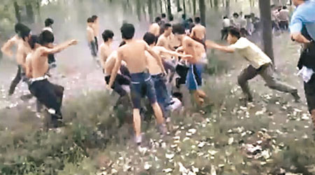 大批學生在樹林內赤膊群毆。（互聯網圖片）