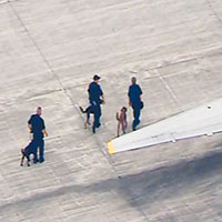 涉事的聯合捷運客機安全降落哥倫布機場，安全人員走近客機搜查。（互聯網圖片）