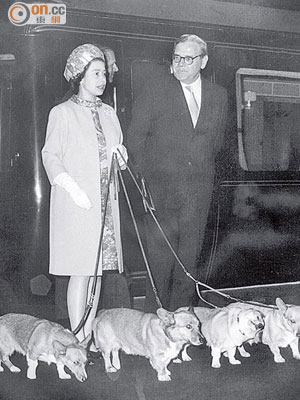 英女王多年來養過多隻哥基犬。（資料圖片）