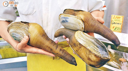 象拔蚌深受中港兩地食客歡迎。（資料圖片）