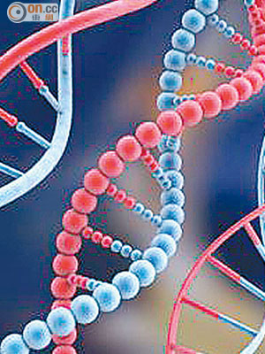 專家成功「剪貼」並「整理」基因組合，將來可有助治病。