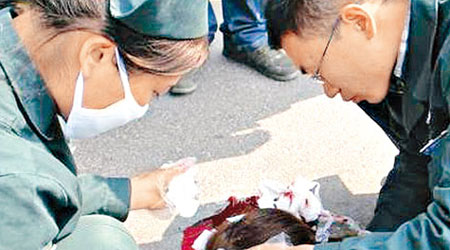 醫護人員在現場搶救女子。（互聯網圖片）
