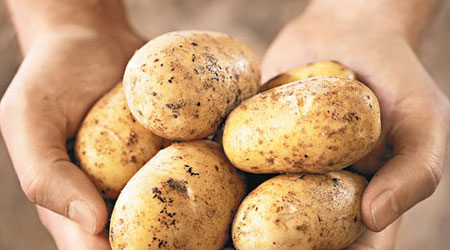 專家發現富澱粉質的食物如薯仔，是人類腦部發展的關鍵。（互聯網圖片）