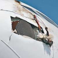 客機機鼻損毀嚴重，還有雀屍卡在機頭上。（互聯網圖片）
