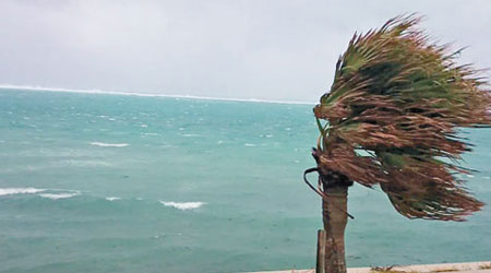 「天鵝」吹襲沖繩，海面刮起巨浪。（互聯網圖片）