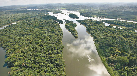 人類不停伐木，致樹木數量劇減。圖為亞馬遜森林。（資料圖片）