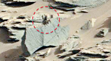 火星發現一隻疑似蠍子的生物（紅圈示）（互聯網圖片）