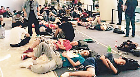 大批果迷集體睡在地上，場面壯觀。（互聯網圖片）
