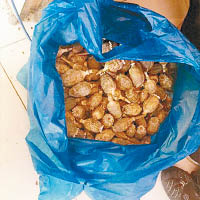 執法部門繳獲約一公斤的乾罌粟殼。（互聯網圖片）