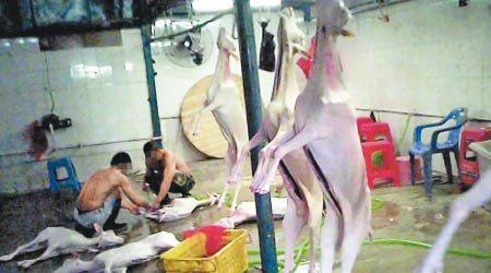 深圳布吉一家禽批發市場被揭暗藏私宰場。（互聯網圖片）