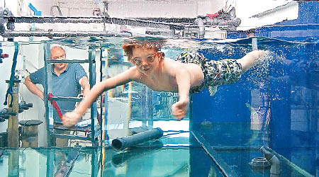 水族箱大得可讓兒子暢泳。（互聯網圖片）