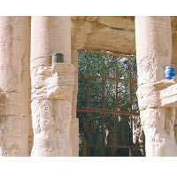 IS在古城巴爾米拉的圓柱上裝上炸彈，然後把囚犯連同古城毁掉。