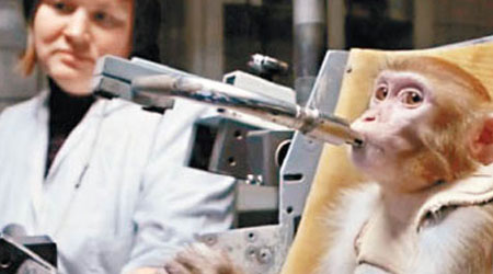 科學家正訓練獼猴，將來送牠們上火星。