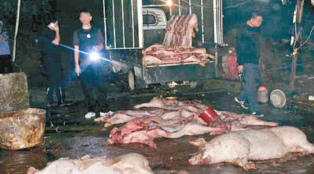 警方日前在天河區偵破一個無牌屠宰豬肉工場。（互聯網圖片）