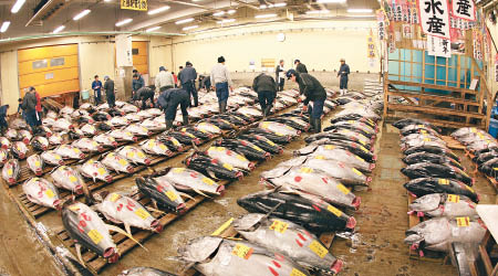 日本吞拿魚供應短缺，來年價格可能大升。（資料圖片）