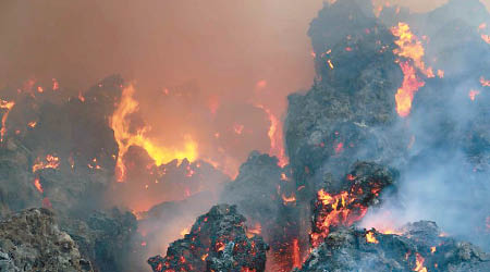 山火的火勢非常猛烈。（互聯網圖片）