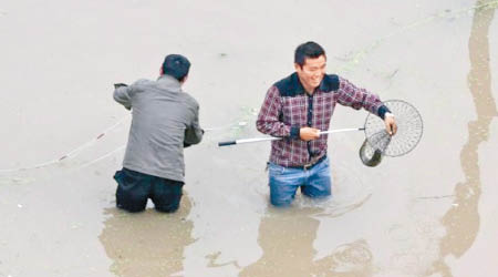 有民眾趁河水倒灌時在街上捕魚，玩得不亦樂乎。（互聯網圖片） 