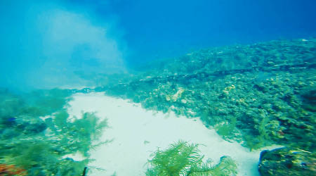 潛水員普戴爾拍下遭船錨破壞的珊瑚礁。（互聯網圖片）