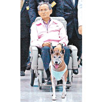 蒲眉蓬的愛犬通丹因器官衰竭病逝。