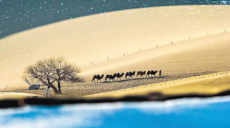 遊客騎駱駝前往月牙泉，感受大漠風情。（互聯網圖片）