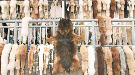 路邊攤檔出售多款動物皮草。（互聯網圖片）