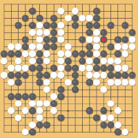 黑175 叫吃 AlphaGo垂死掙扎