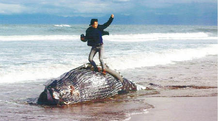 日本民眾批評相中男人踐踏鯨魚「侮辱生命」。（互聯網圖片）