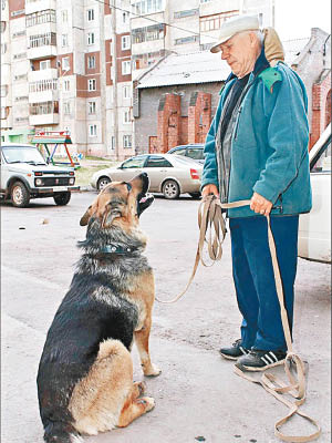 達維度夫與愛犬相伴了十年。（互聯網圖片）