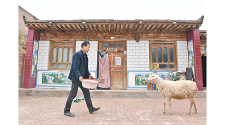 劉生家在院落內餵羊。（互聯網圖片）