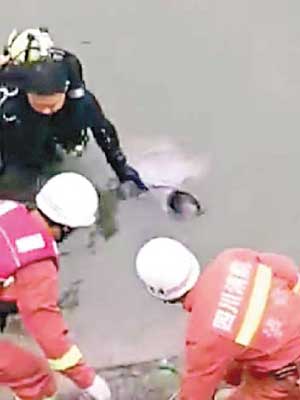 小偷被消防撈起時已告溺斃。（互聯網圖片）